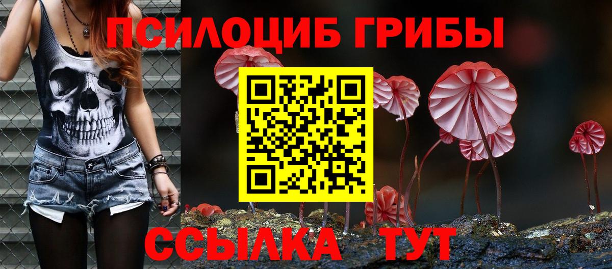 Псилоцибиновые грибы Psilocybe Жигулёвск