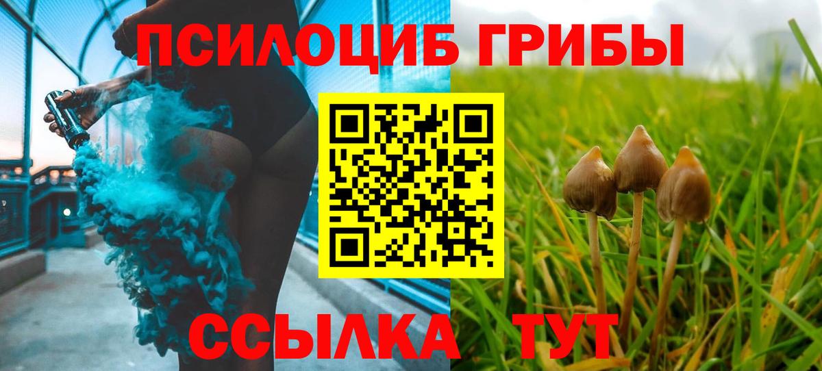 Жигулёвск  Галлюциногенные грибы мухоморы  закладки  Псилоцибиновые грибы Psilocybine cubensis  Вход с VPN 
